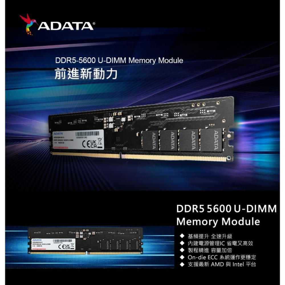 ADATA 威剛 DDR5 5600－8GB／16GB／32GB 桌上型記憶體 RAM 光華商場-細節圖3