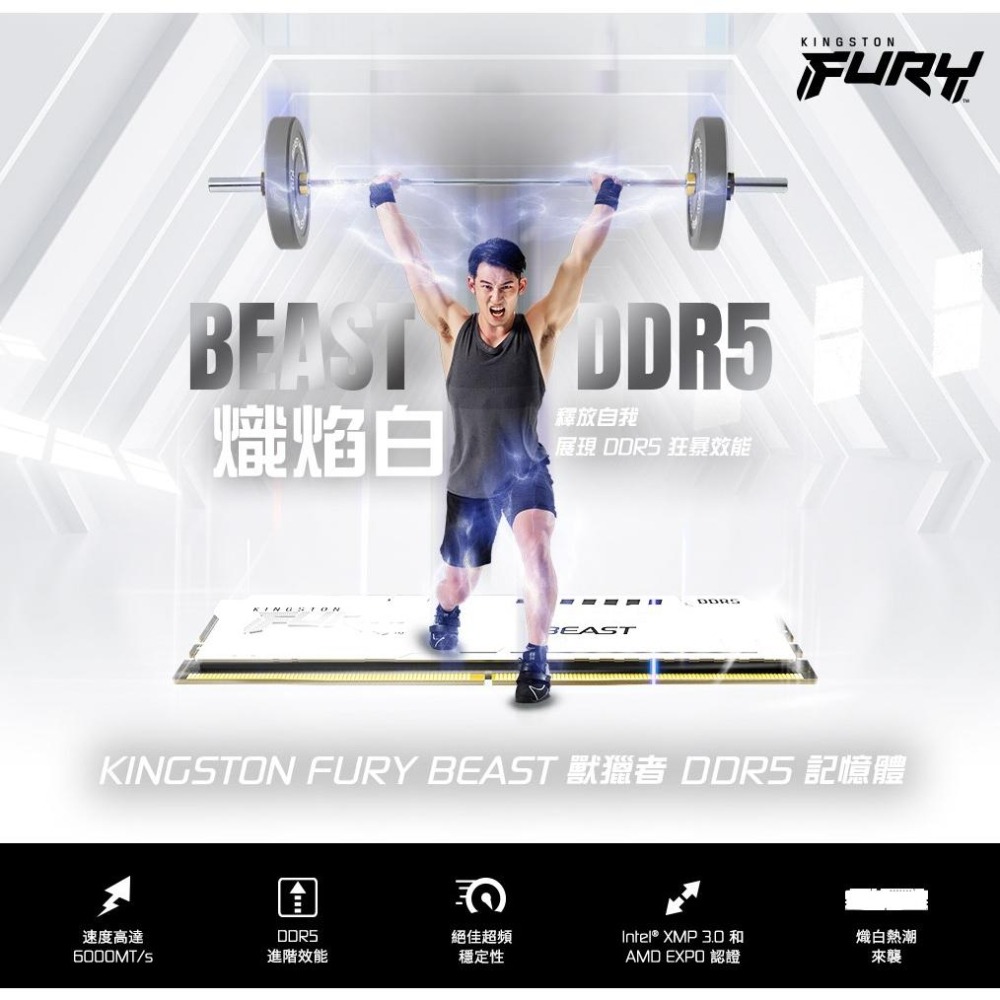 Kingston 金士頓 獸獵者 DDR5 5600 16G*2 32G*2 KF556C36BWEK2-32 -64-細節圖3