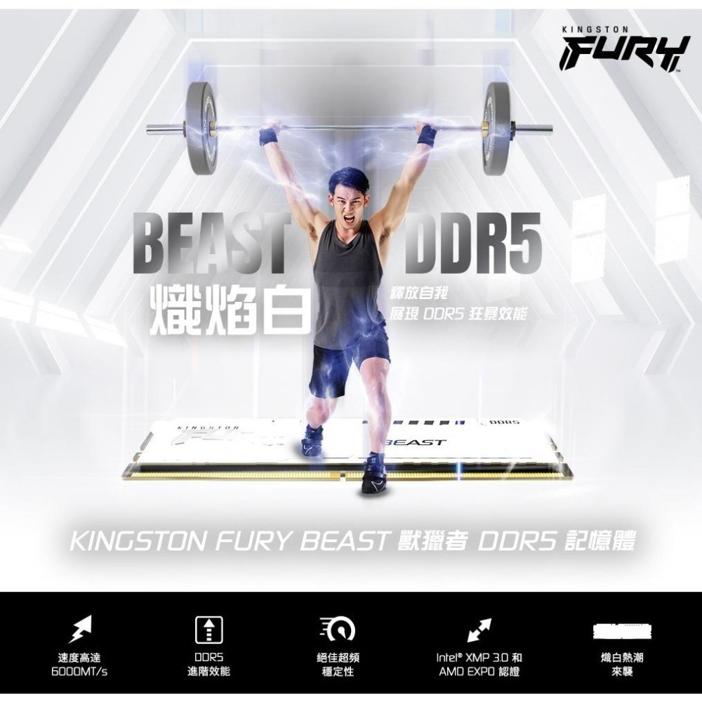 Kingston 金士頓 獸獵者 DDR5 5600 16G*2 32G*2 KF556C36BWEK2-32 -64-細節圖3