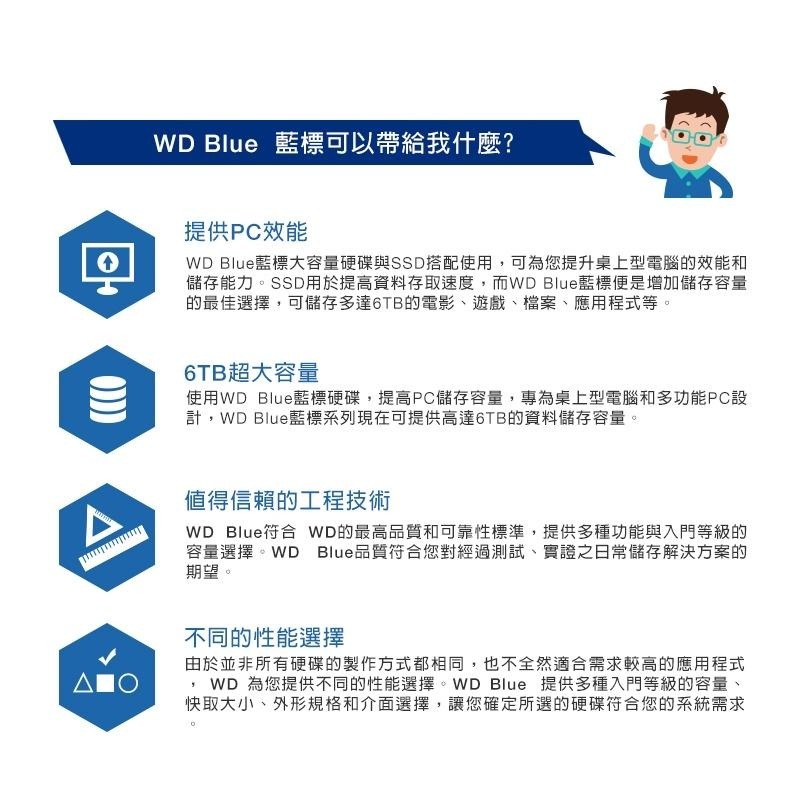 WD 威騰 Blue 藍標 3.5吋 HDD硬碟 1TB/2TB/4TB/6TB/8TB 內接硬碟 機械硬碟 光華-細節圖4