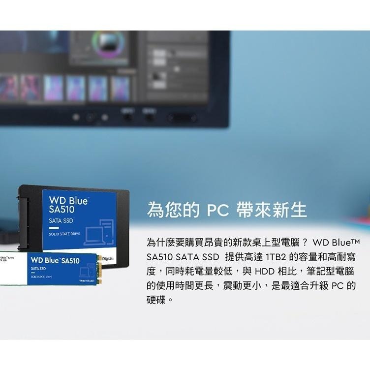 WD 威騰 藍標 SA510 250GB 500GB 1TB 2.5吋 SATA SSD 固態硬碟 光華商場 500G-細節圖3