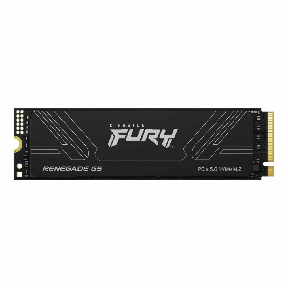 Kingston金士頓 FURY Renegade G5－1TB／2TB／4TB Gen 5 M.2 SSD 固態硬碟-細節圖2