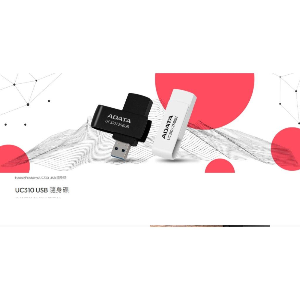 ADATA 威剛 UC310－64G／128G／256G USB 3.2 隨身碟 光華商場-細節圖3