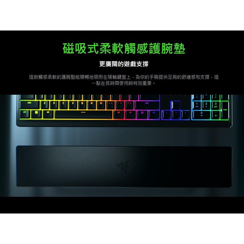 新上市【現貨】Razer 雷蛇 Ornata V3 雨林狼蛛 V3 類機械薄膜鍵盤 中文 英文 TKL 公司貨 光華商場-細節圖5