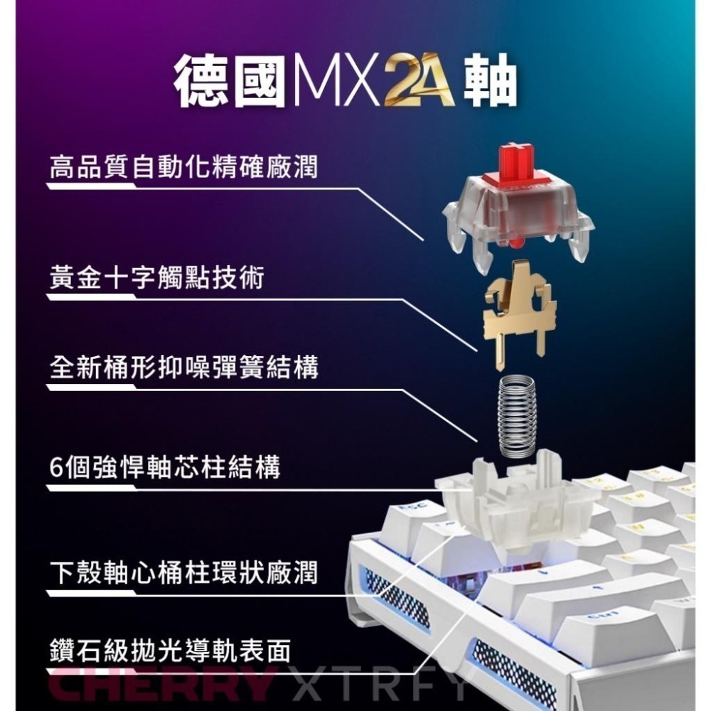 【現貨熱銷】CHERRY 櫻桃 MX Board 3.1S RGB MX2A 機械鍵盤 茶軸/紅軸/銀軸 MX3.1S-細節圖5