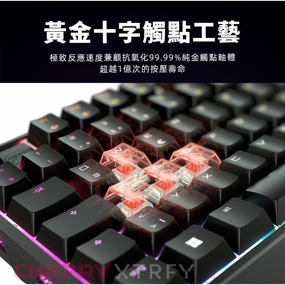 【現貨熱銷】CHERRY 櫻桃 MX Board 3.1S RGB MX2A 機械鍵盤 茶軸/紅軸/銀軸 MX3.1S-細節圖7