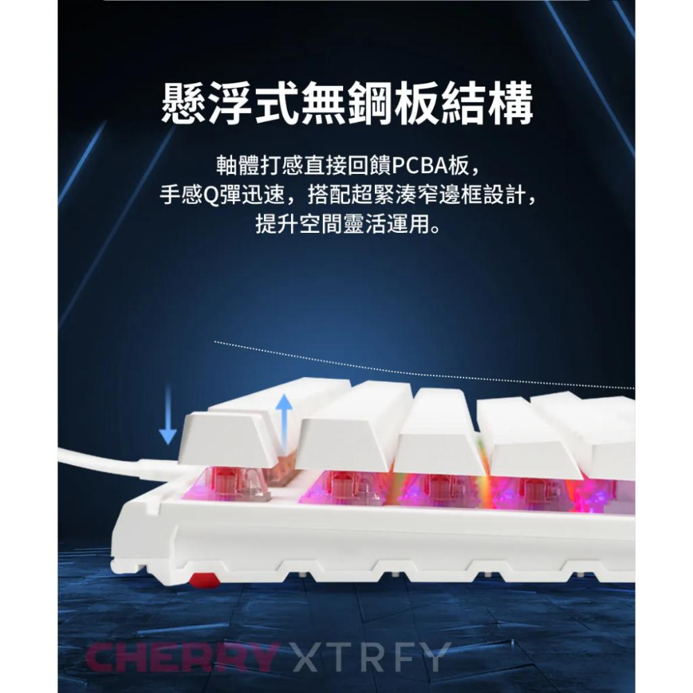 【MX2A】Cherry 櫻桃 MX BOARD 1.1 TKL RGB 機械鍵盤 MX2A 紅軸 MX1.1 光華-細節圖6