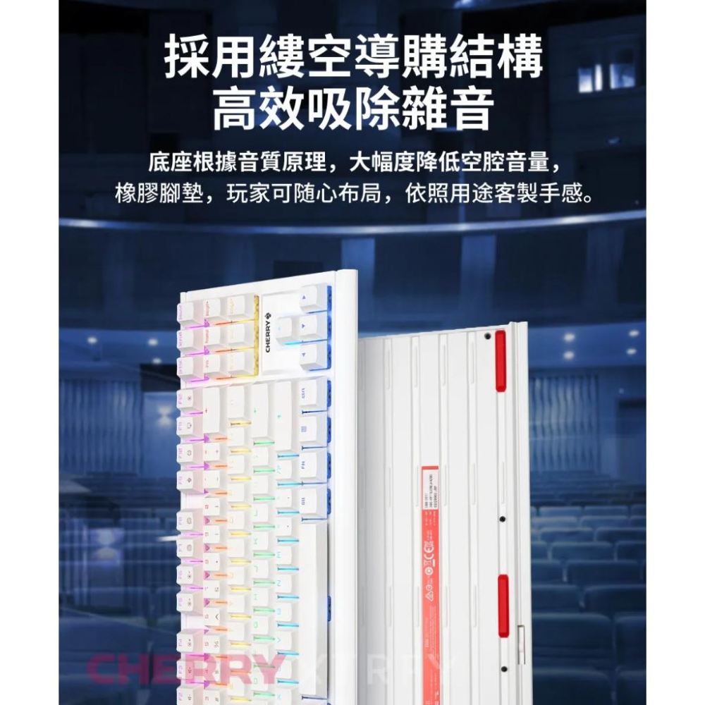 【MX2A】Cherry 櫻桃 MX BOARD 1.1 TKL RGB 機械鍵盤 MX2A 紅軸 MX1.1 光華-細節圖7