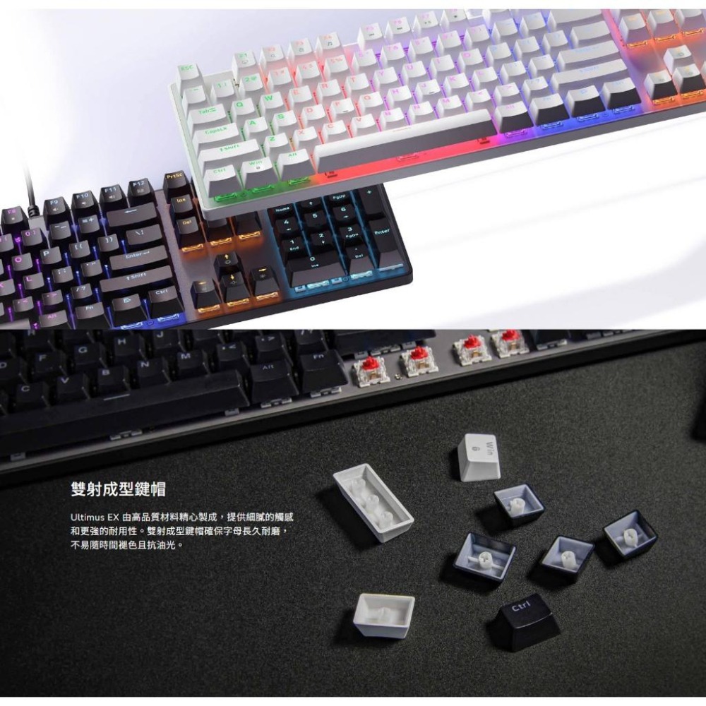 COUGAR 美洲獅 ULTIMUS EX 機械式電競鍵盤 RGB 電競鍵盤 機械鍵盤 遊戲鍵盤 有線鍵盤 光華-細節圖3