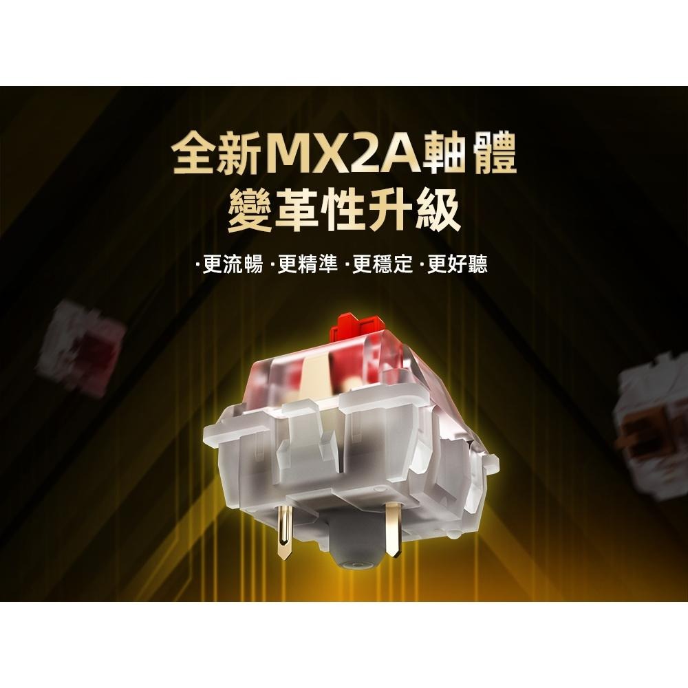 Cherry 櫻桃 MX2A RGB 軸體罐 35顆 墨軸/青軸/茶軸/玉軸/銀軸/靜音紅軸/極光軸 機械軸 軸罐 光華-細節圖4