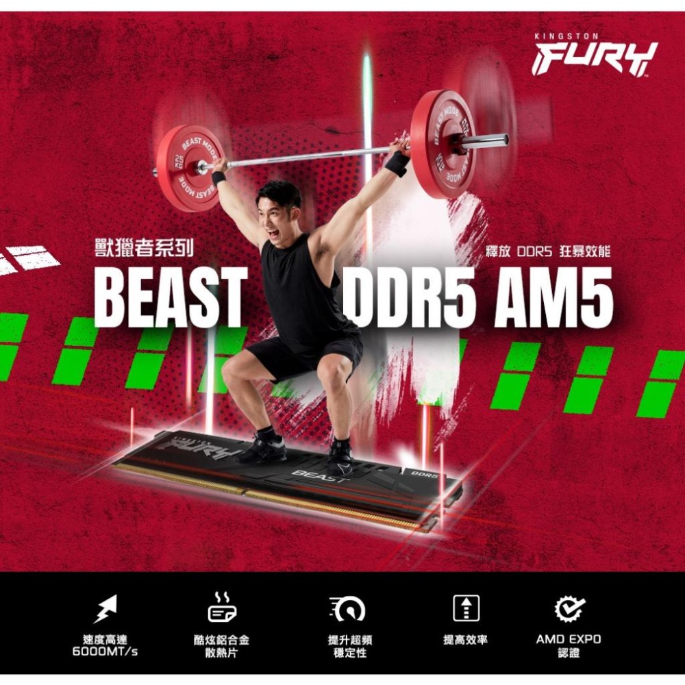 Kingston金士頓 Beast 獸獵者 DDR5 5600 32G 64G KF556C36BBEK2-32 -64-細節圖3