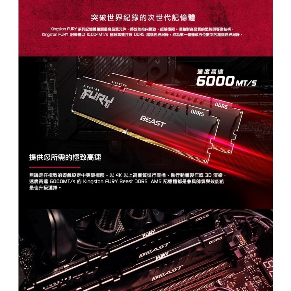 Kingston金士頓 Beast 獸獵者 DDR5 5600 32G 64G KF556C36BBEK2-32 -64-細節圖4