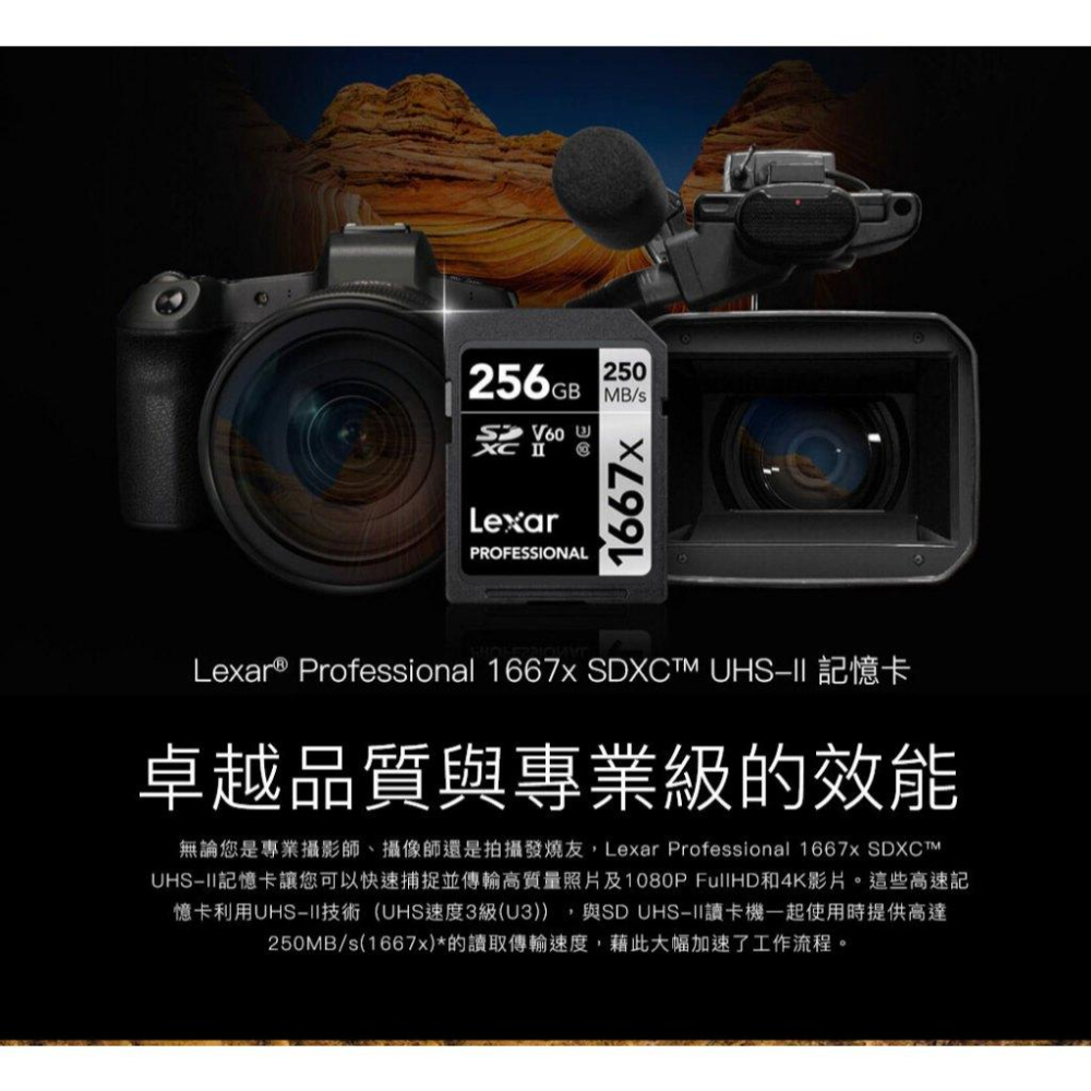 Lexar 雷克沙 Professional 1667x－64G／128G／256G SDXC UHS-II 記憶卡-細節圖3