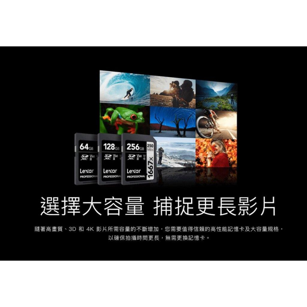Lexar 雷克沙 Professional 1667x－64G／128G／256G SDXC UHS-II 記憶卡-細節圖5