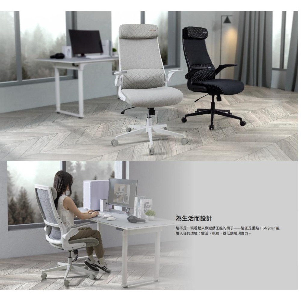 COUGAR 美洲獅 STRYDER 多用途人體工學椅 高椅背 可上掀扶手 電腦椅 電競椅 遊戲椅 人體工學椅 光華-細節圖3