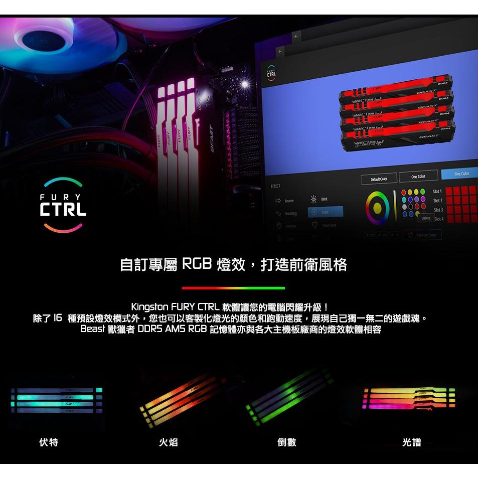 Kingston 金士頓 獸獵者 DDR5 5600 16G*2 32G*2 KF556C36BBEAK2-32/64-細節圖7