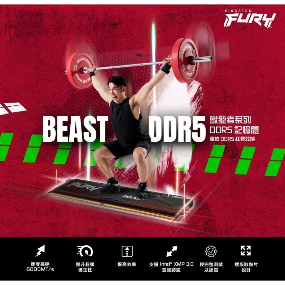 Kingston 金士頓 FURY Beast 狩獵者 DDR5 6000 64G/32G 雙通道記憶體 C30 光華-細節圖3