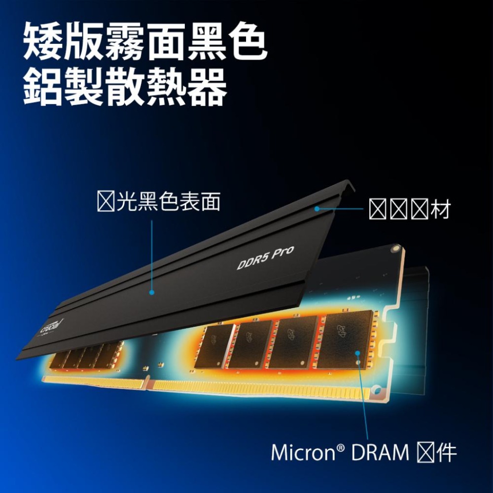 Micron 美光 Crucial PRO DDR5 5600／C46／32G／64G／96G 雙通道記憶體 光華-細節圖4