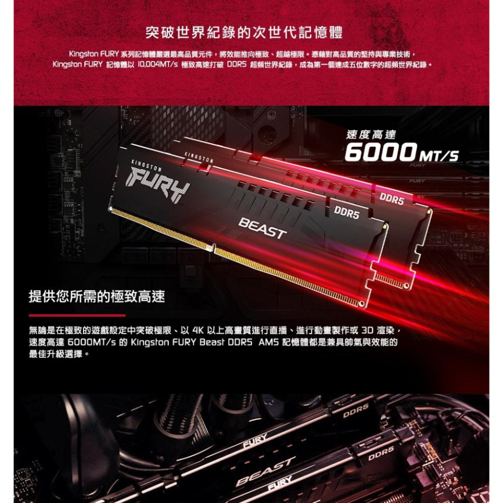 Kingston 金士頓 FURY Beast 獸獵者 DDR5 6000 32G／64G 雙通道記憶體 光華-細節圖4