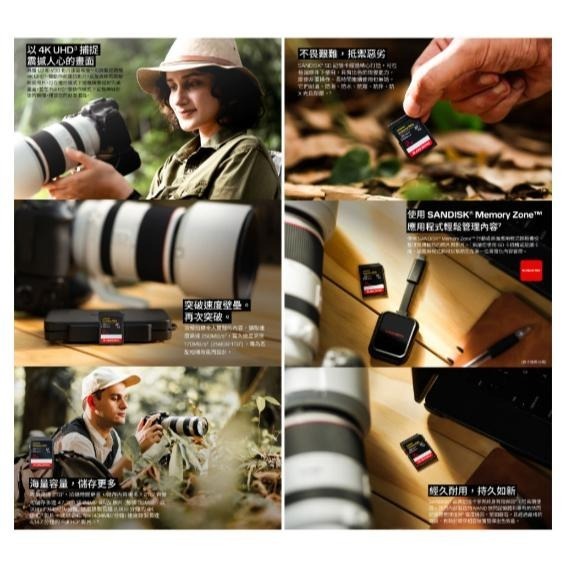 SanDisk Extreme Pro SD UHS-I 32GB 64GB 128GB 256GB SD 記憶卡 光華-細節圖4