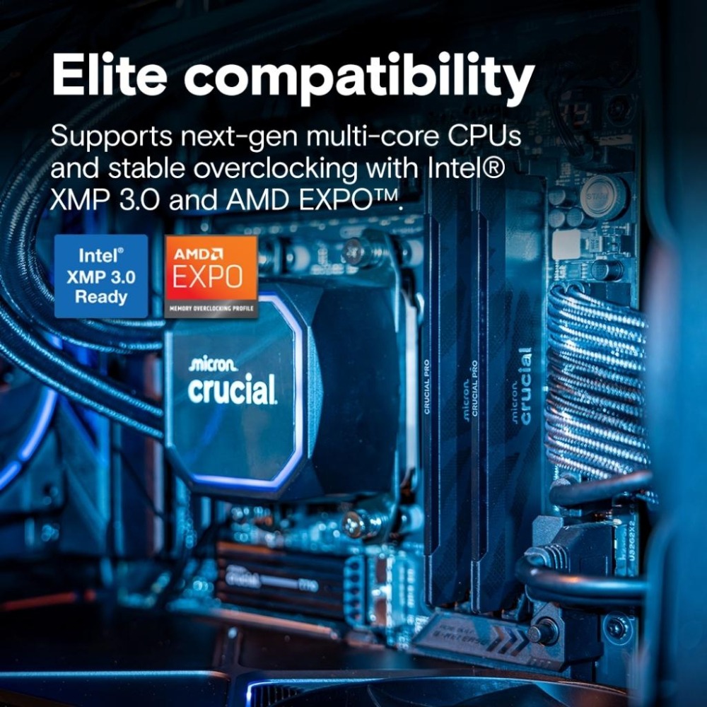 Micron 美光 Crucial Pro DDR5-6400 C32／32G(16G*2) 桌上型記憶體 公司貨 光華-細節圖4
