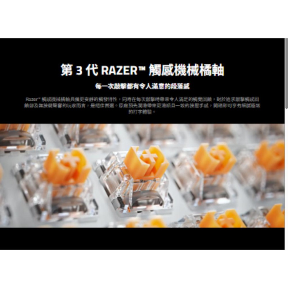 Razer 雷蛇 Reclusa X Mini 65% 熱插拔電競鍵盤(英文) 觸感軸 遊戲鍵盤 機械鍵盤 公司貨 光華-細節圖5