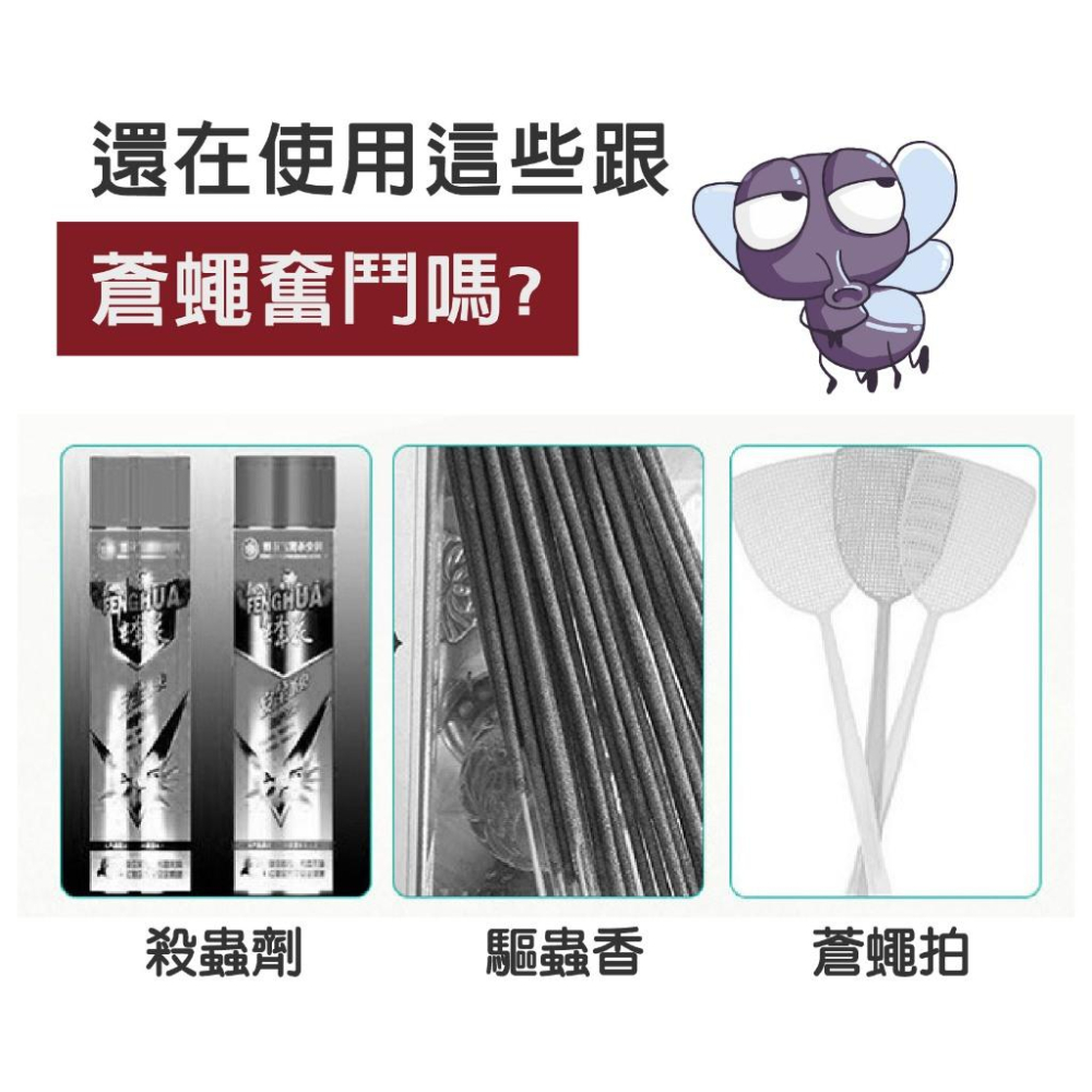 黏蠅板 超黏蒼蠅板 蒼蠅貼 無毒無味 黏度持久 蚊 蟲 黏蟲板 黏蠅 果蠅誘捕器 蒼蠅紙 除蟲 自帶誘蠅劑  黏力強-細節圖3
