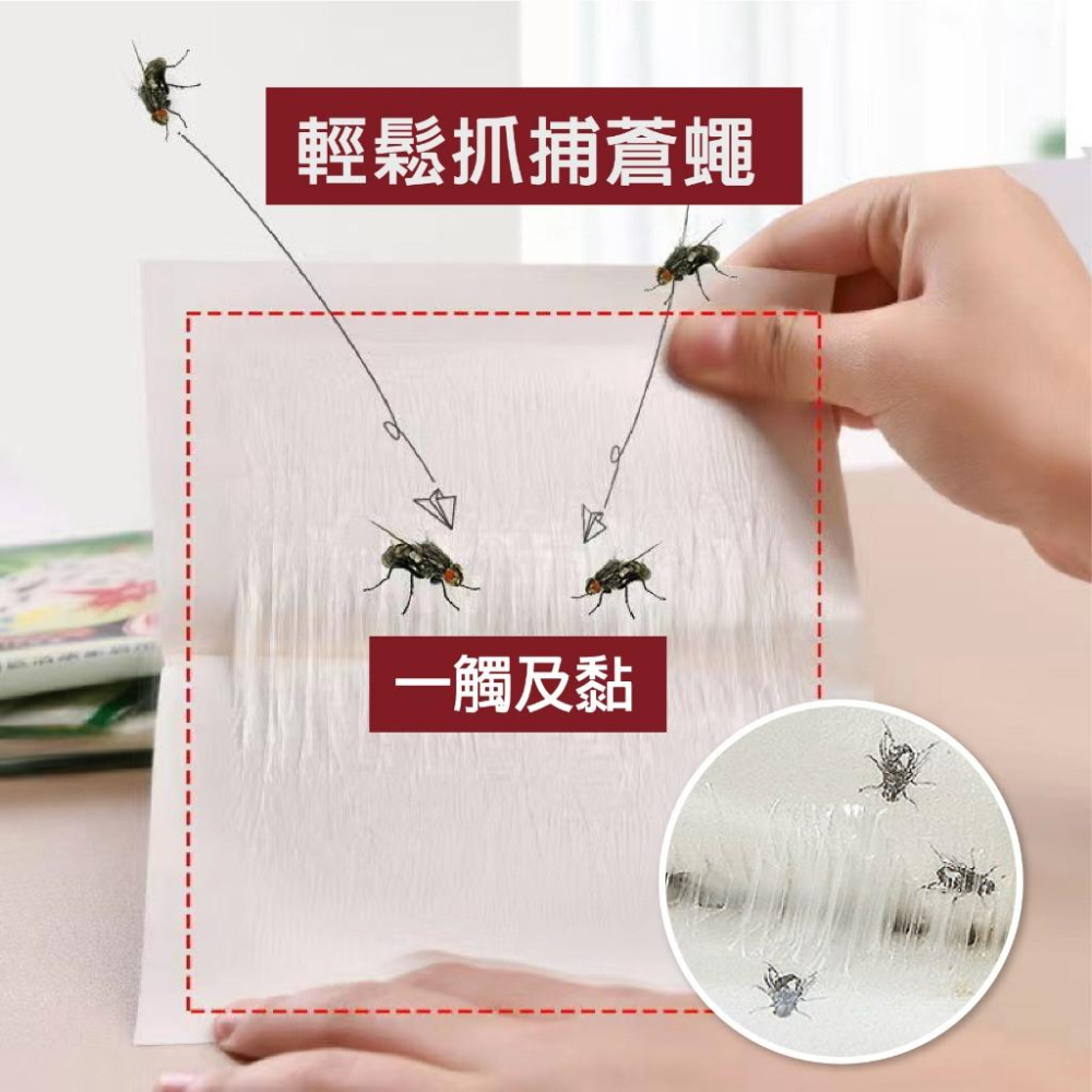 黏蠅板 超黏蒼蠅板 蒼蠅貼 無毒無味 黏度持久 蚊 蟲 黏蟲板 黏蠅 果蠅誘捕器 蒼蠅紙 除蟲 自帶誘蠅劑  黏力強-細節圖4