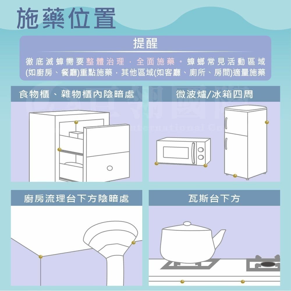 【限時購】德國巴斯夫 一點絕5g 蟑螂藥5g 殺蟑凝膠餌劑 滅蟑-細節圖6