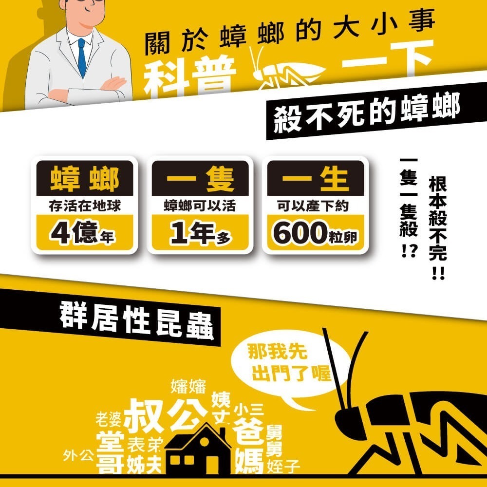 【限時購】174T升級20克加量不加價 殺蟑 連鎖殺蟑 內附10個誘餌盒 再加送10個餌劑盒 (共有20個餌劑盒)-細節圖3