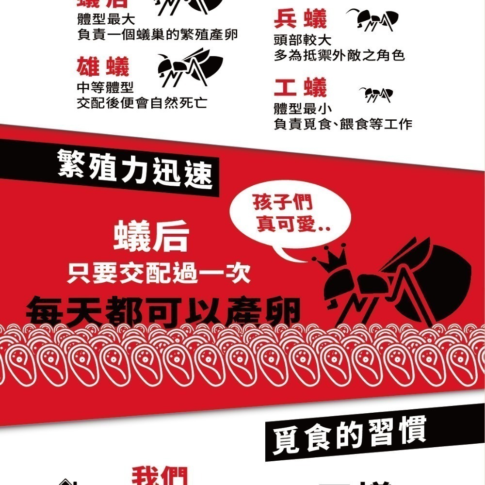 【限時購】174T除蟻凝膠30克 防治 螞蟻藥30克 內附10個安全餌劑盒 再加贈10個安全餌劑盒-細節圖4