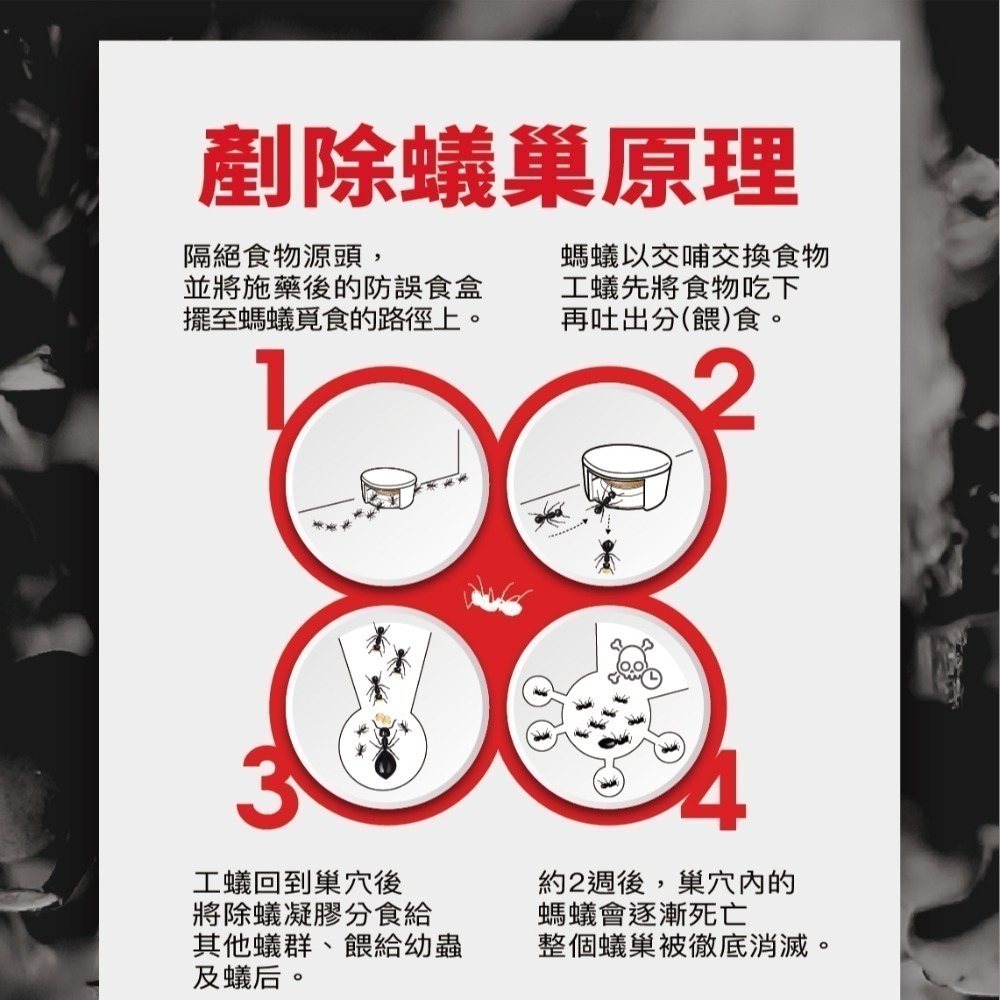 【限時購】174T除蟻凝膠30克 防治 螞蟻藥30克 內附10個安全餌劑盒 再加贈10個安全餌劑盒-細節圖6