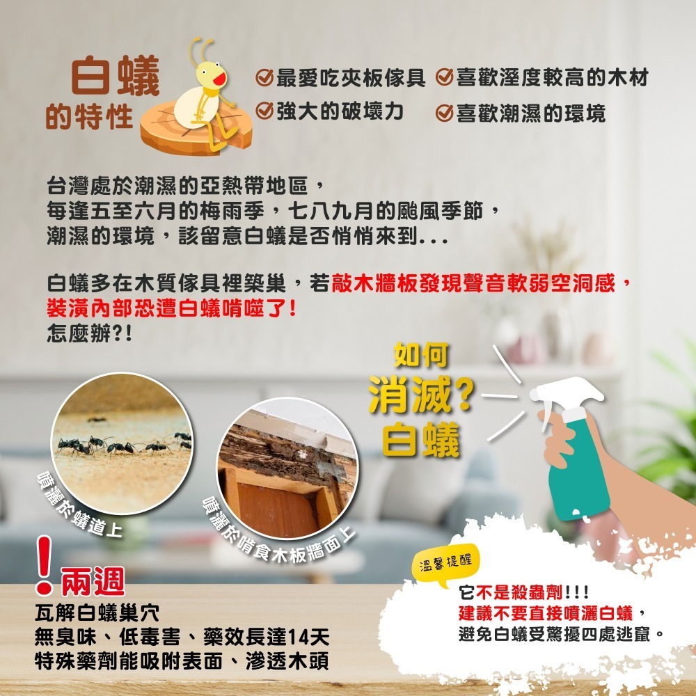 奧除 白蟻專家100ml 室內戶外皆可用 家用環境除白蟻好幫手 連鎖除白蟻 木頭清香不刺鼻-細節圖2