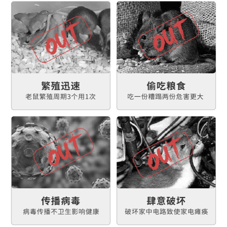 黏鼠板 老鼠板 捕鼠器 捕老鼠 老鼠夾 老鼠籠 捕鼠器 滅鼠器 抓老鼠 老鼠貼 捕鼠神器 滅鼠-細節圖3