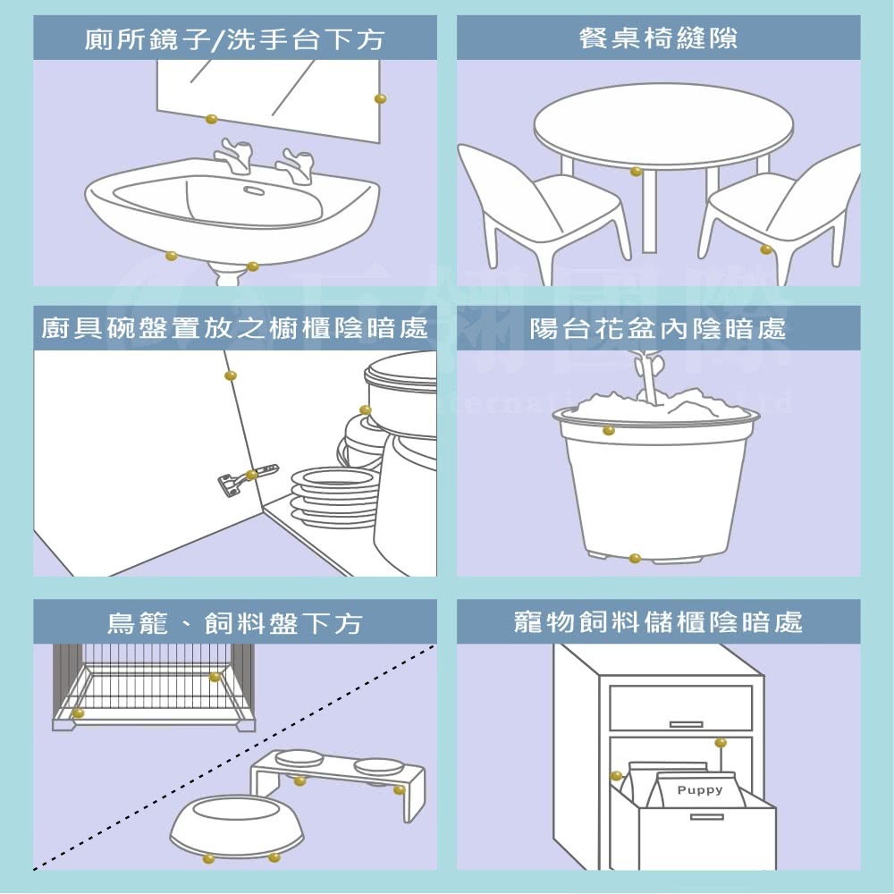 德國巴斯夫 一點絕5g 蟑螂藥 *2支+新奧除螞蟻藥80g 除蟻藥 *2瓶 (超值組合)-細節圖6