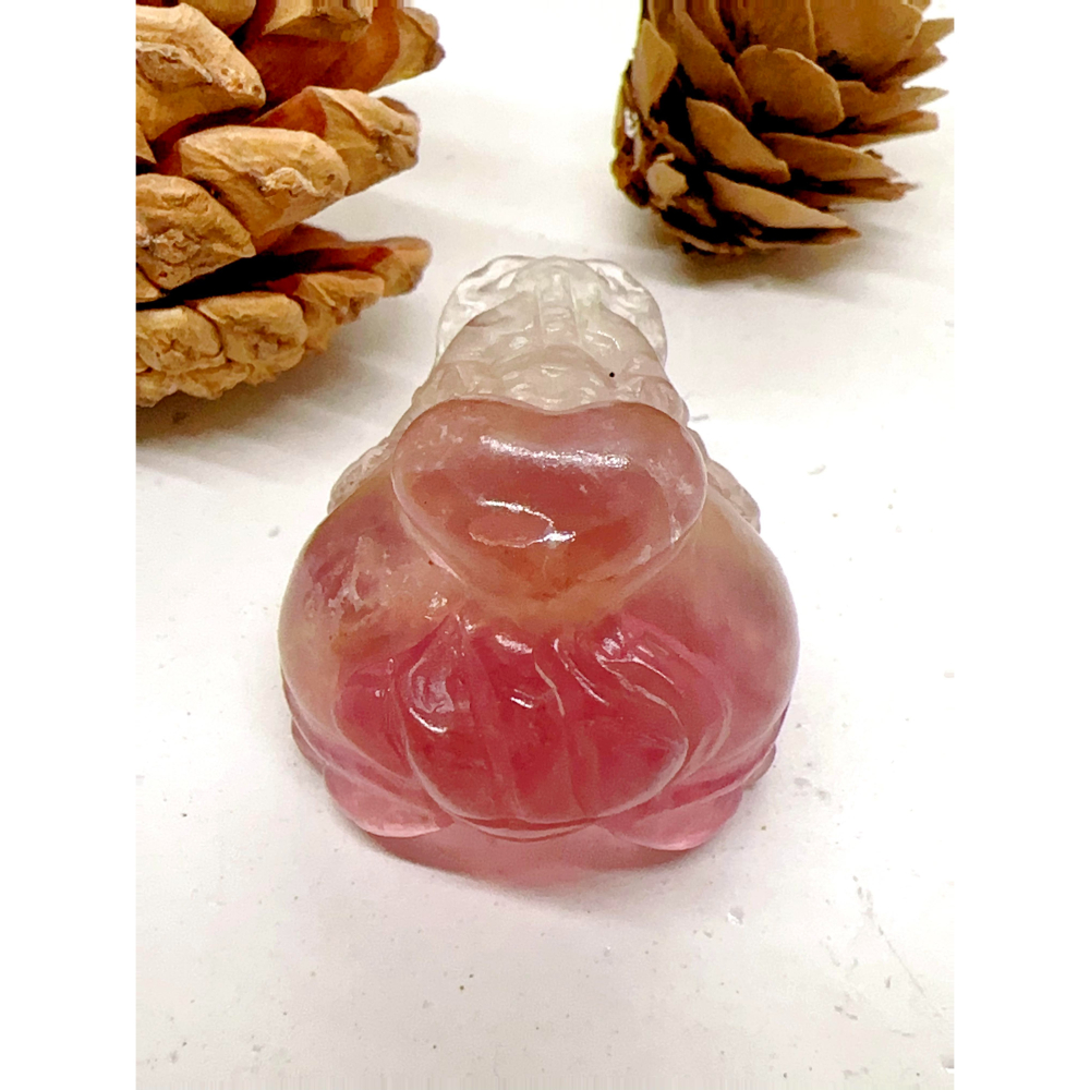 680號選手💘愛心糖果螢石龍龜-加強專注力🍭-細節圖7