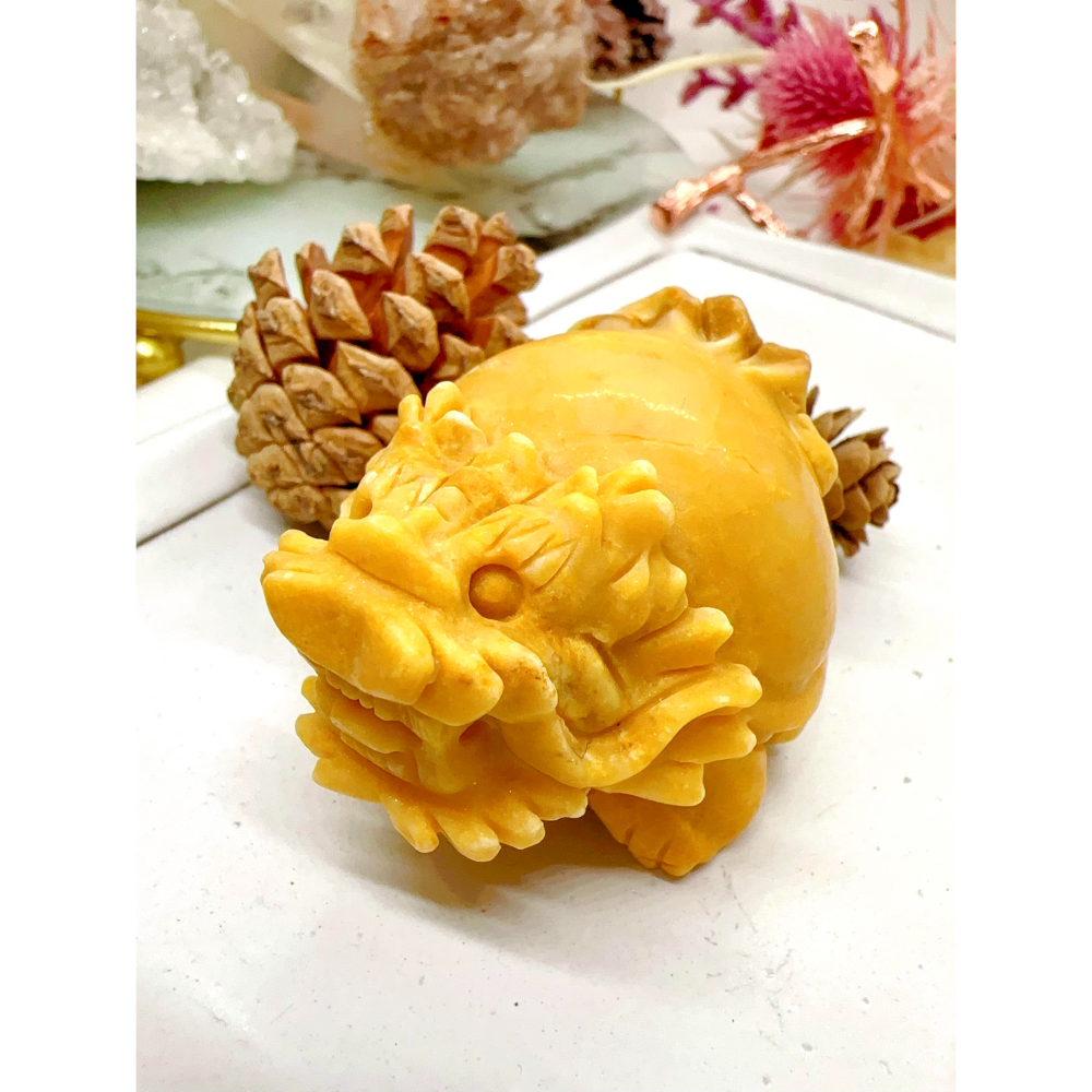 ✨625號選手木化石龍龜✨-細節圖5