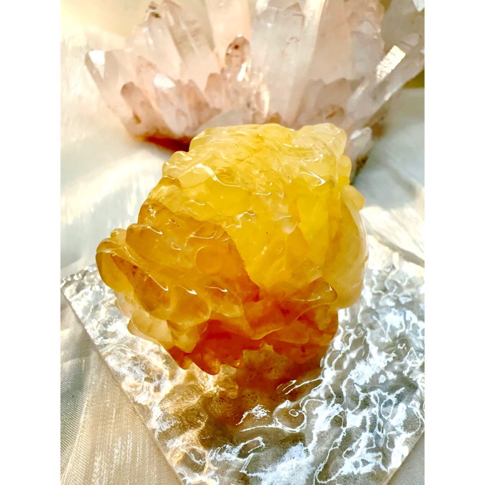 909號選手✨蛇年黃膠花龍龜✨-細節圖2