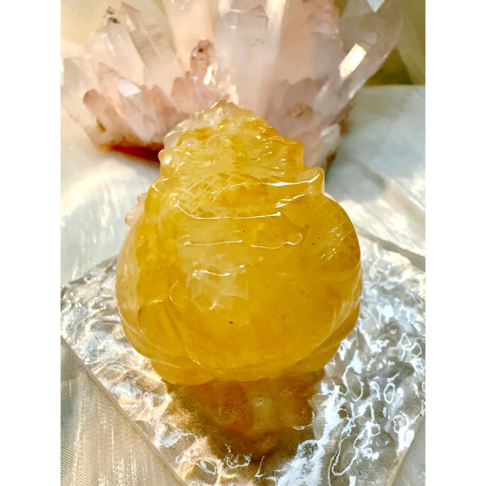 909號選手✨蛇年黃膠花龍龜✨-細節圖3