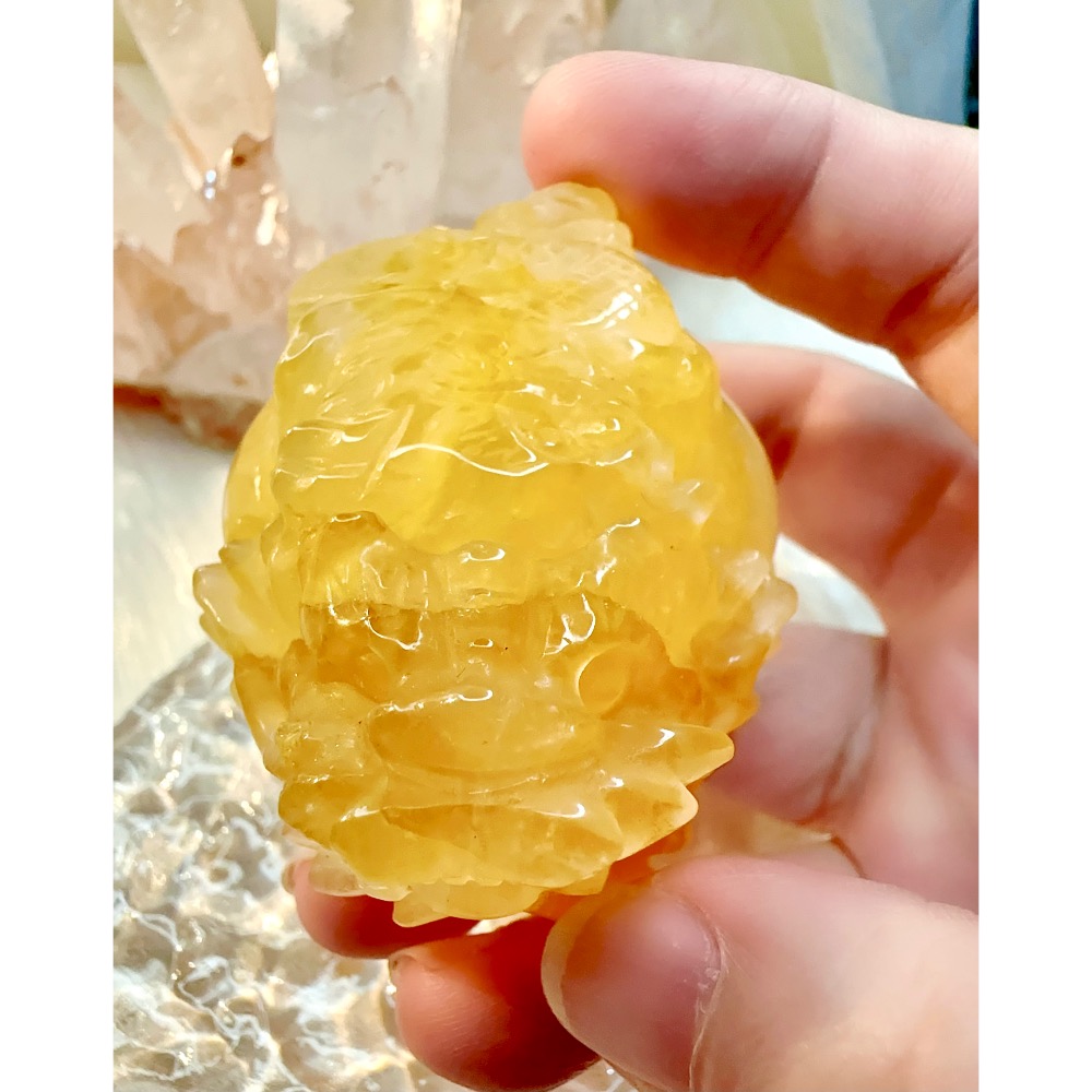 909號選手✨蛇年黃膠花龍龜✨-細節圖4