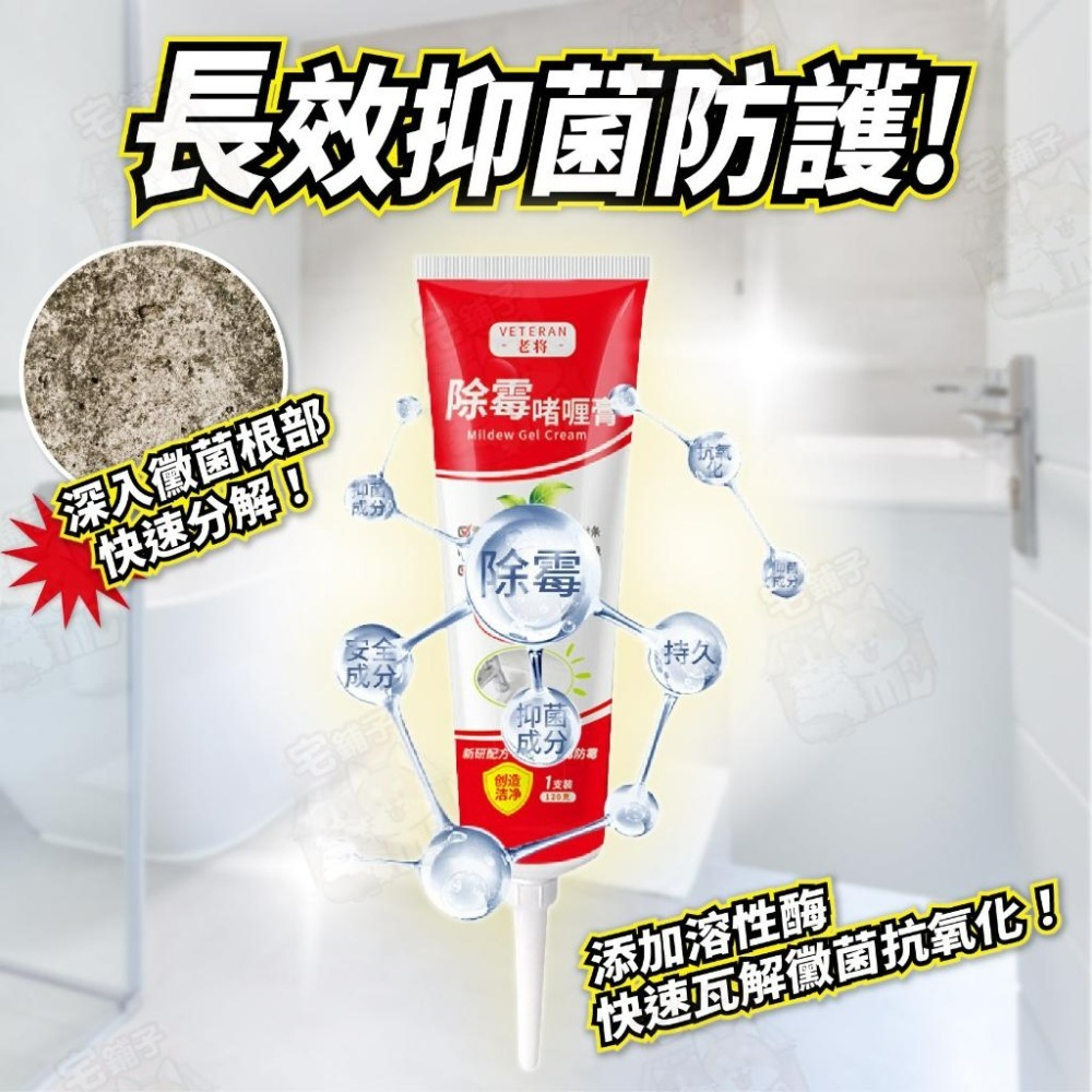 【宅鋪子】強力除霉凝膠 除霉 除黴凝膠 防霉劑 去霉 浴室去霉 劑 防黴 洗衣機除霉 浴室除霉 黴菌 除霉劑 防霉膏 牆-細節圖4