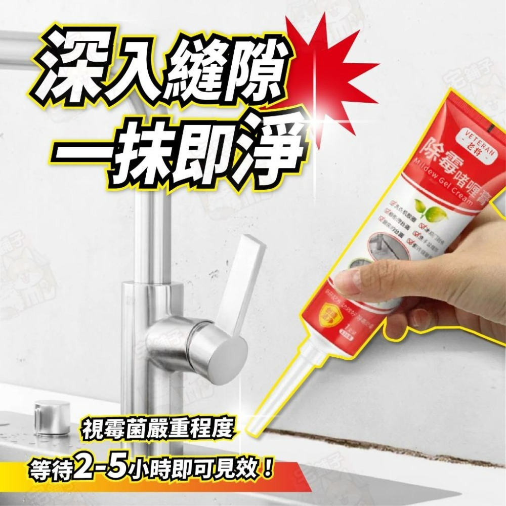 【宅鋪子】強力除霉凝膠 除霉 除黴凝膠 防霉劑 去霉 浴室去霉 劑 防黴 洗衣機除霉 浴室除霉 黴菌 除霉劑 防霉膏 牆-細節圖5
