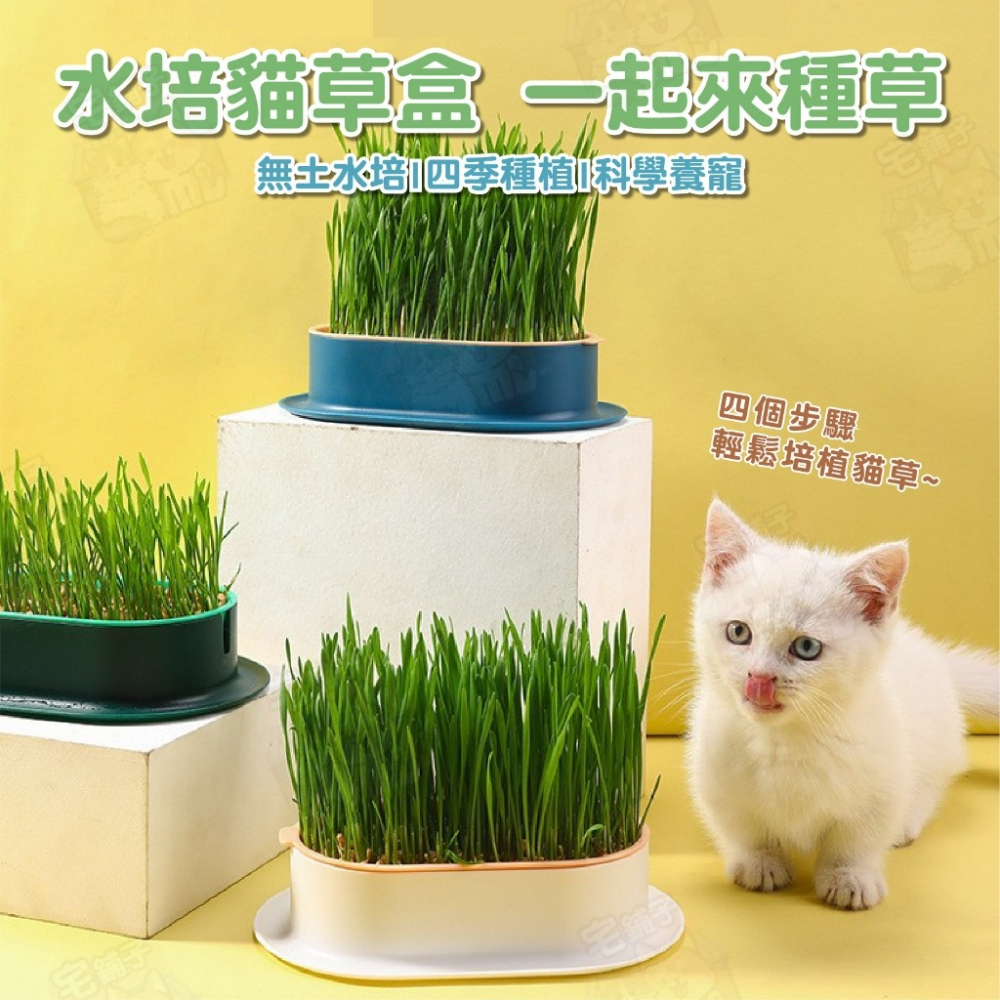 【宅鋪子】水培貓草盒 寵物用品 貓咪用品 水培貓草 栽種盒 DIY種植 栽培盒 貓草栽培盒-細節圖3