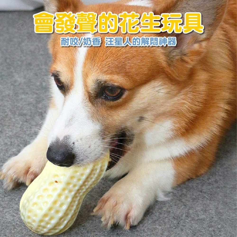 【宅鋪子】TPR仿真花生玩具 寵物玩具 仿真玩具 狗玩具 TPR玩具 發聲玩具 磨牙玩具 啃咬玩具-細節圖3