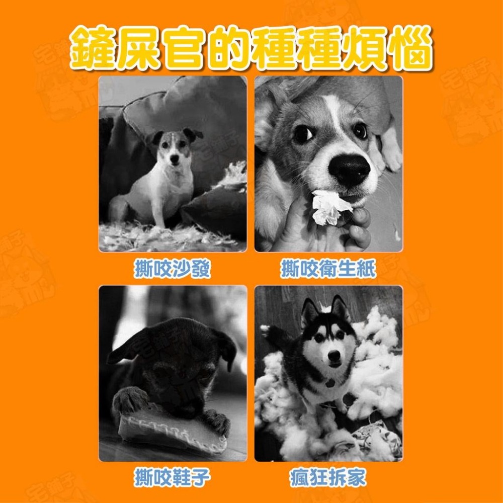 【宅鋪子】TPR仿真花生玩具 寵物玩具 仿真玩具 狗玩具 TPR玩具 發聲玩具 磨牙玩具 啃咬玩具-細節圖4