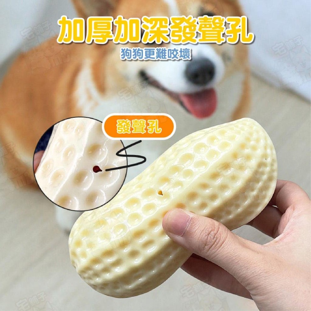 【宅鋪子】TPR仿真花生玩具 寵物玩具 仿真玩具 狗玩具 TPR玩具 發聲玩具 磨牙玩具 啃咬玩具-細節圖6