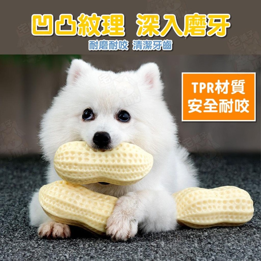 【宅鋪子】TPR仿真花生玩具 寵物玩具 仿真玩具 狗玩具 TPR玩具 發聲玩具 磨牙玩具 啃咬玩具-細節圖8