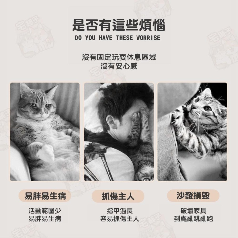 【宅鋪子】劍麻貓抓墊 貓抓墊 貓墊子 貓抓板 劍麻墊 貓睡墊 貓磨爪 貓咪抓板 磨抓板 寵物用品 貓咪玩具-細節圖3