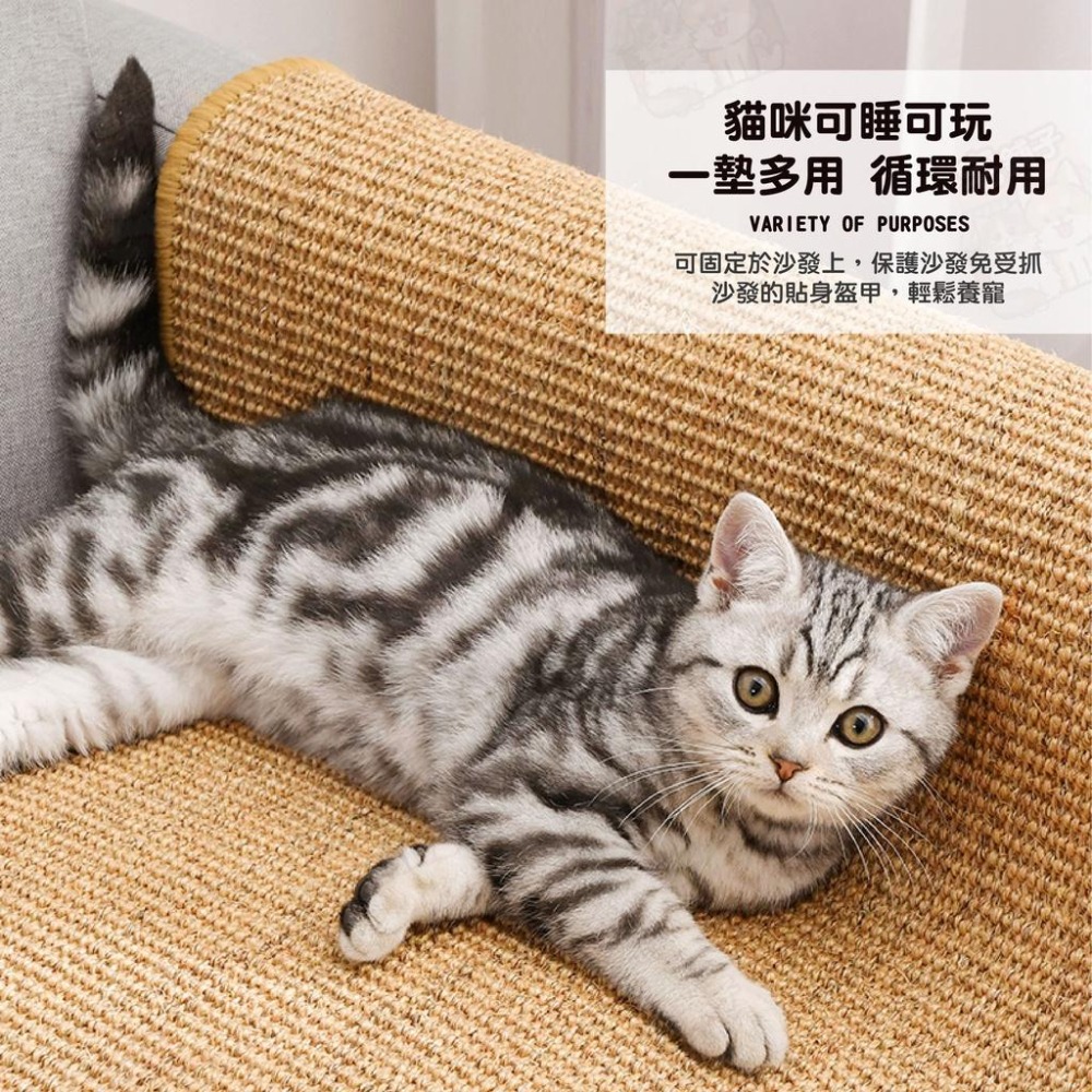 【宅鋪子】劍麻貓抓墊 貓抓墊 貓墊子 貓抓板 劍麻墊 貓睡墊 貓磨爪 貓咪抓板 磨抓板 寵物用品 貓咪玩具-細節圖4