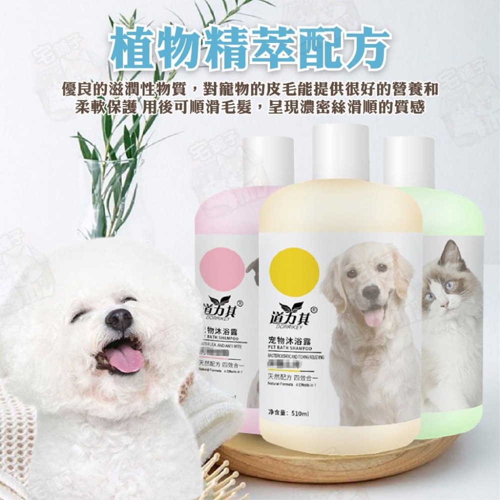 【宅鋪子】寵物沐浴乳 寵物洗毛精 寵物沐浴精 寵物洗澡 貓咪沐浴乳 狗狗沐浴乳 貓咪洗澡 狗狗洗澡-細節圖3